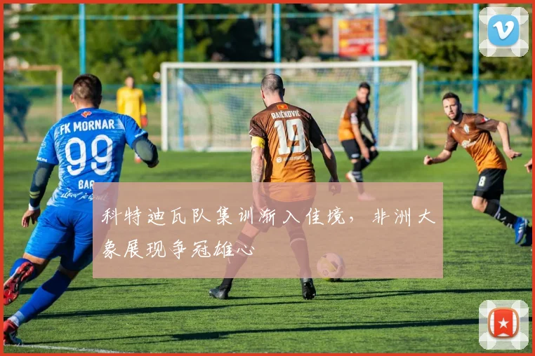 科特迪瓦队集训渐入佳境，非洲大象展现争冠雄心